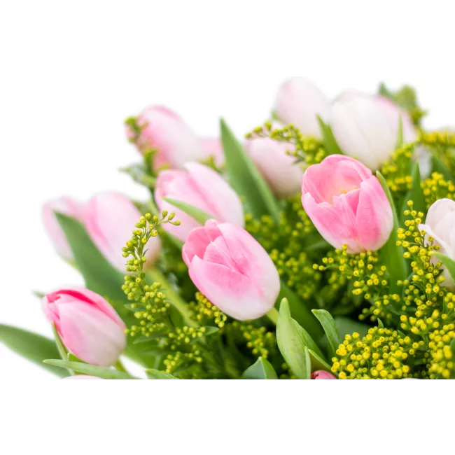 Bouquet of pink tulips
